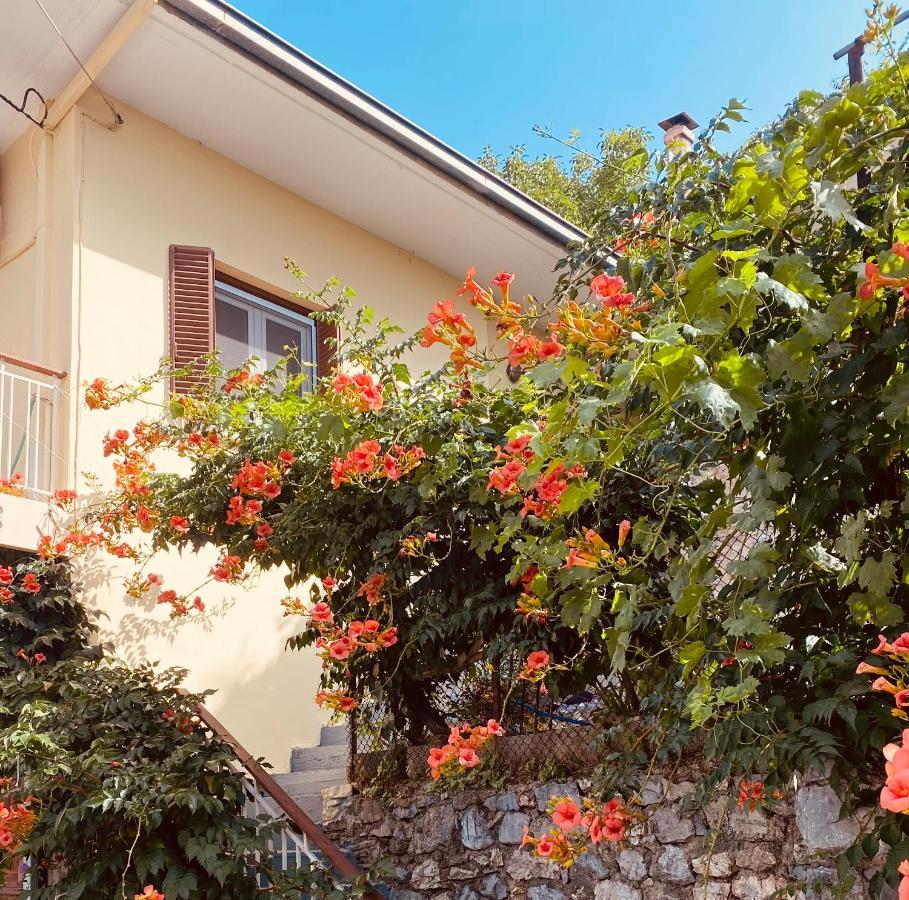 Ortansia Apartment Dimitsana Exterior photo