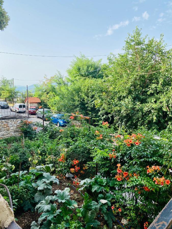 Ortansia Apartment Dimitsana Exterior photo