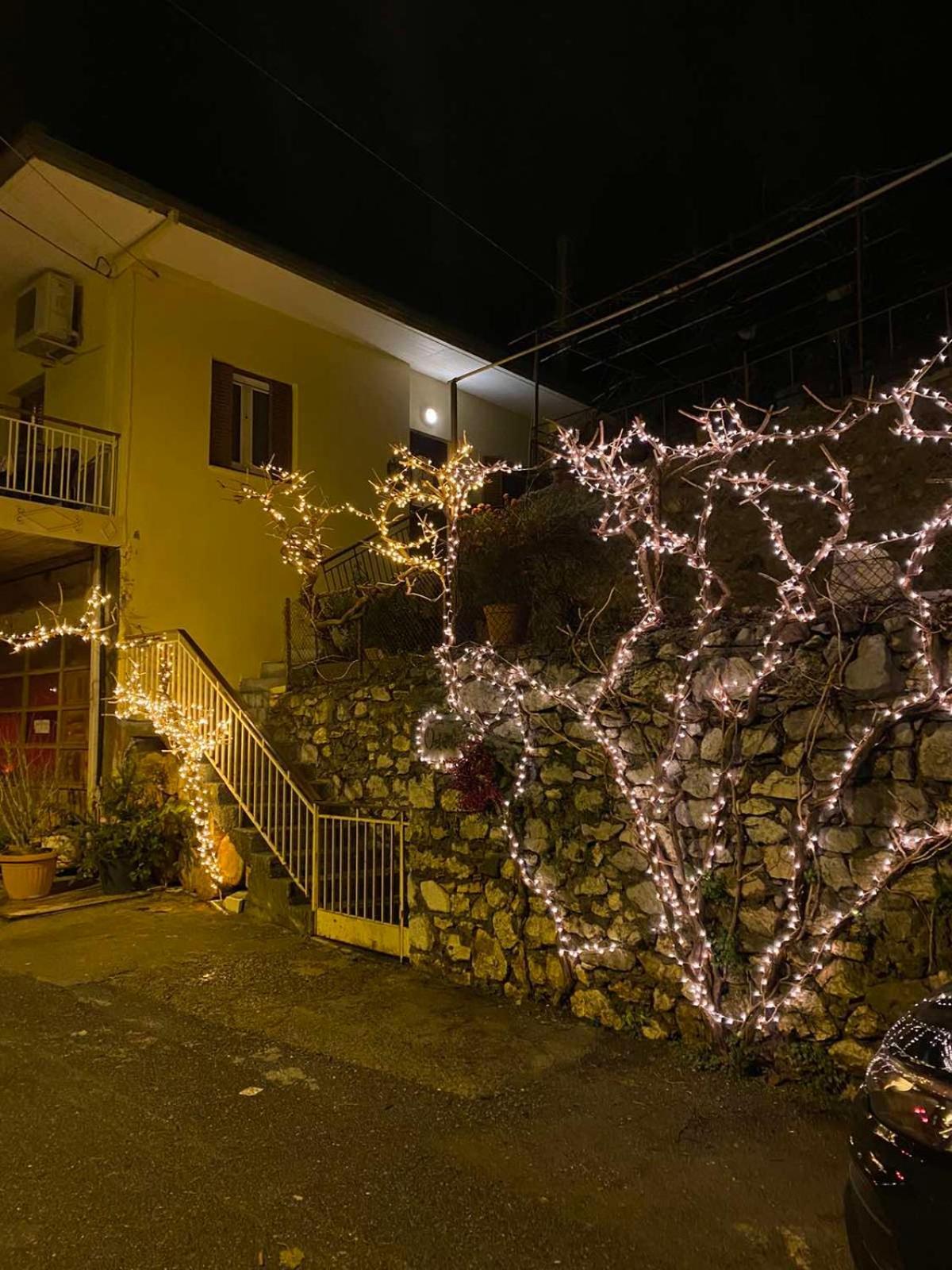 Ortansia Apartment Dimitsana Exterior photo